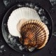 Deniz Tarağı Et (Scallop)